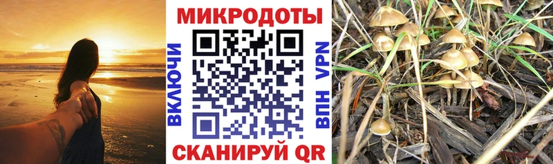 Псилоцибиновые грибы прущие грибы  дарнет шоп  Юхнов 